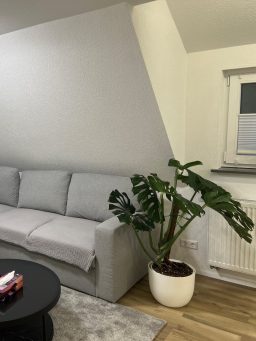 Renovierter Wohnbereich Wohnbereich nach Renovierung mit Sofa und heller Raumgestaltung